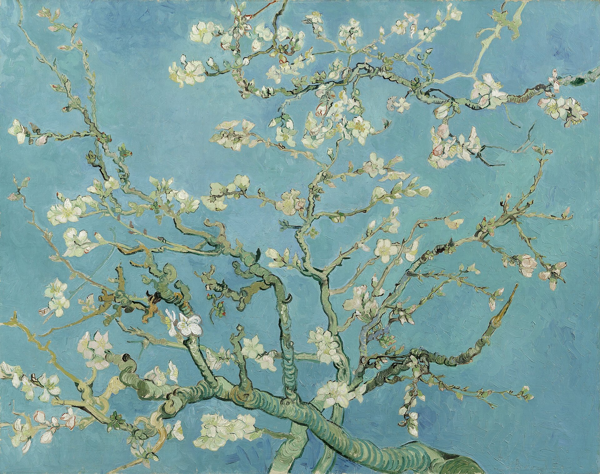 Van Goghs “Mandelblomst” (1890)